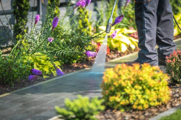 Best Fence Cleaning and Maintenance in Cabana Colony, FL
